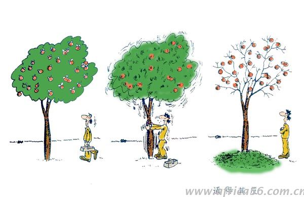 尼日利亞限制部分商品進(jìn)口，結(jié)果適得其反。