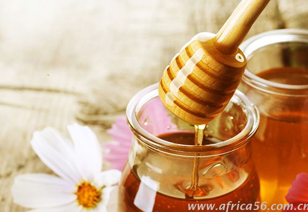 食品測有草甘膦殘留，草甘膦命運成未知，旭洲物流為你解析