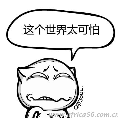 印度，你這是要上天呀！_旭洲物流