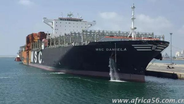 msc daniela船起火