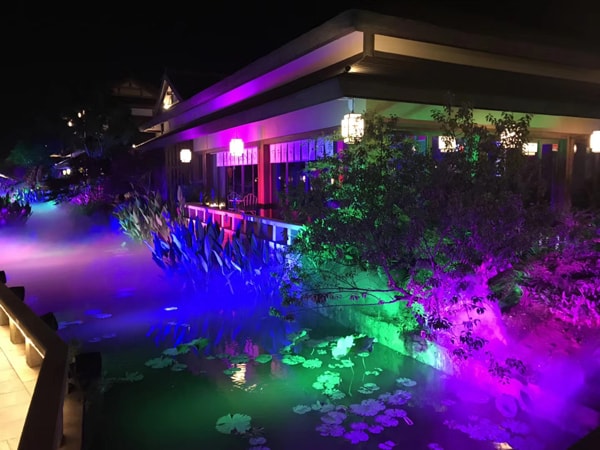 旭洲物流2018團體旅游_非洲海運_旭洲物流