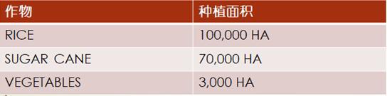 加勒比及中美洲農(nóng)業(yè)市場分析_農(nóng)化品出口_旭洲物流