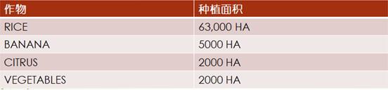 加勒比及中美洲農(nóng)業(yè)市場分析_農(nóng)化品出口_旭洲物流