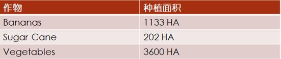 加勒比及中美洲農(nóng)業(yè)市場分析_農(nóng)化品出口_旭洲物流
