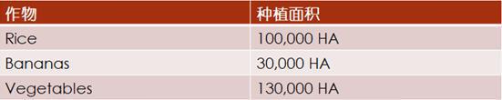加勒比及中美洲農(nóng)業(yè)市場分析_農(nóng)化品出口_旭洲物流