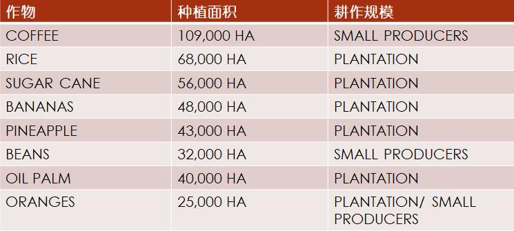 加勒比及中美洲農(nóng)業(yè)市場分析_農(nóng)化品出口_旭洲物流