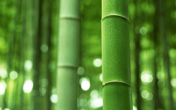 埃塞俄比亞與肯尼亞和烏干達(dá)重點發(fā)展產(chǎn)業(yè)_非洲海運_旭洲物流