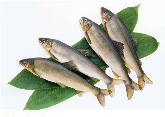 尼日利亞魚類養(yǎng)殖_非洲物流_上海旭洲